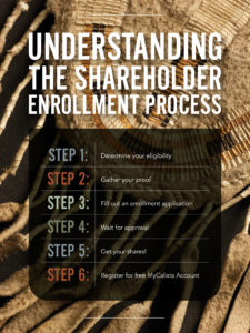Understanding the Shareholder Enrollment Process