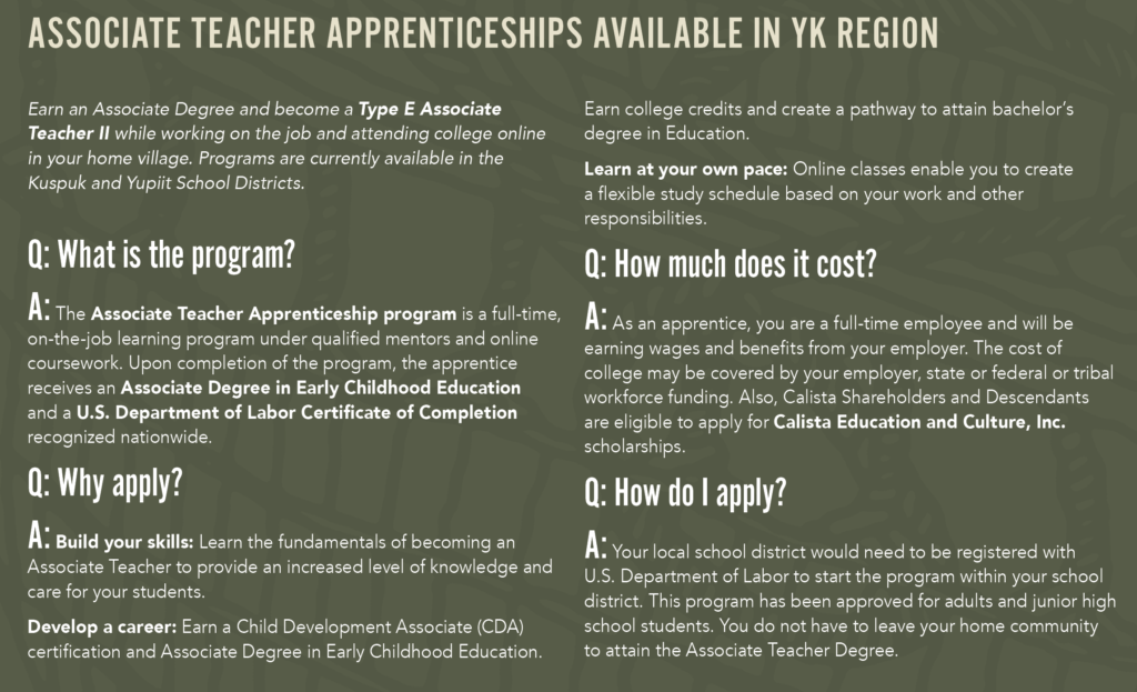 Teacher Apprenticeships 